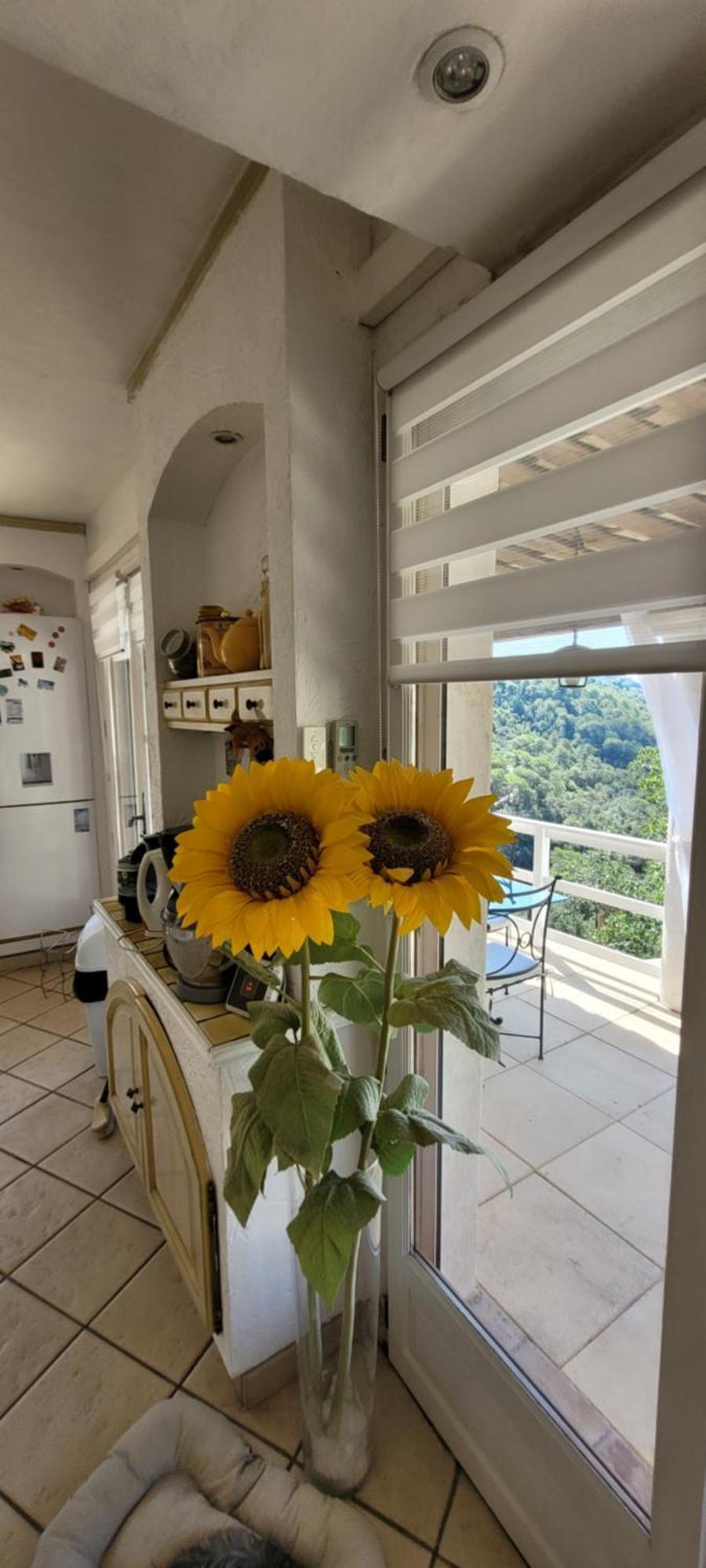 L'Etoile De Nice Villa Colomars Eksteriør bilde